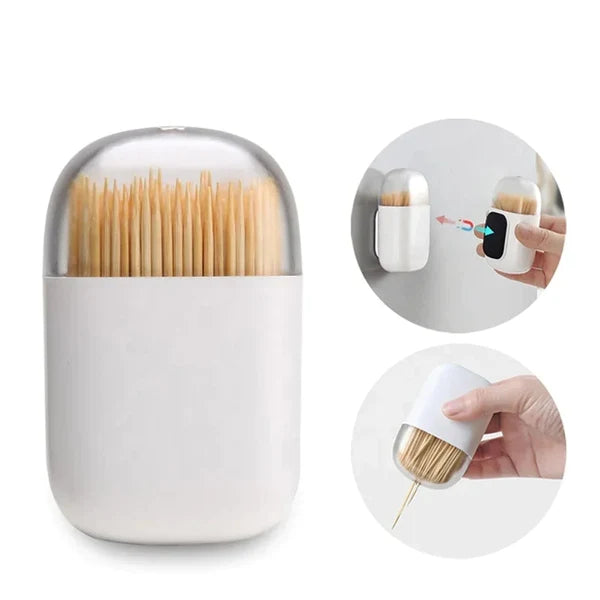 Toothpick holder with magnetic holding option