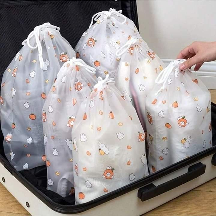 Set of 4 Travel Bag