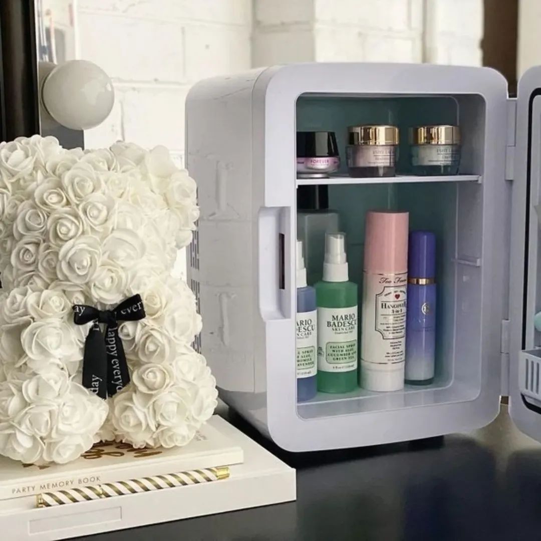 Mini Makeup Fridge : AC/DC Cooler & Warmer for Beauty & Skincare | Home & Car Use