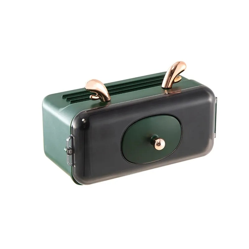 Wall Mounted lipstick and perfume organizer