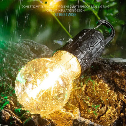 Led rechargeable bulb lamp for camping and for other multi purpose use