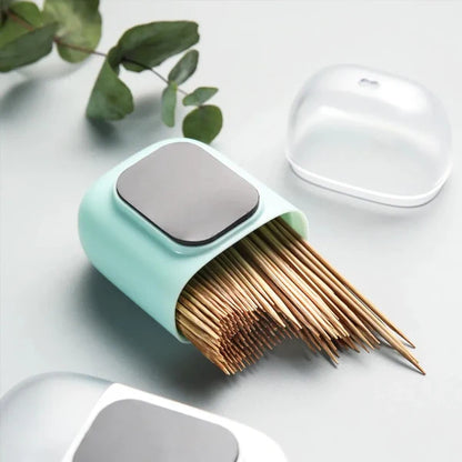 Toothpick holder with magnetic holding option