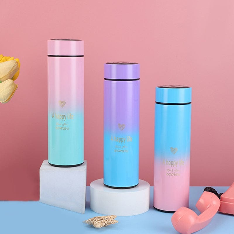 500ml Stainless Steel Temperature Display Bottle