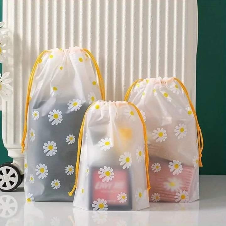 Set of 4 Travel Bag
