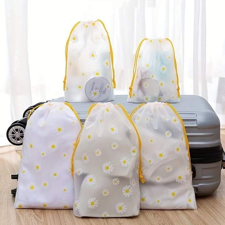Set of 4 Travel Bag