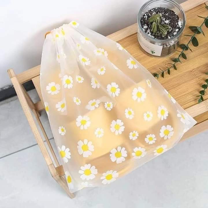 Set of 4 Travel Bag